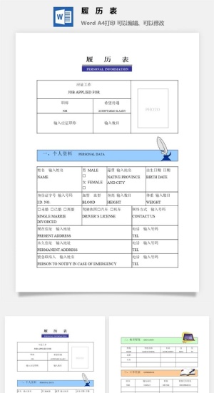 个人履历表word模板