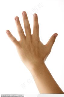 手势喻意-打招呼的手势