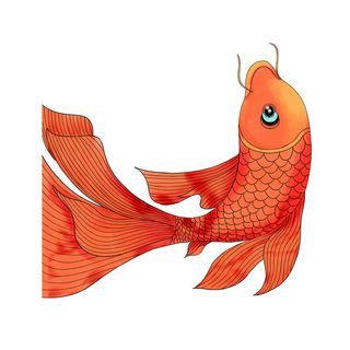 手绘烫金国潮中国风卡通锦鲤鱼金鱼插画装饰元素PSD设计素材