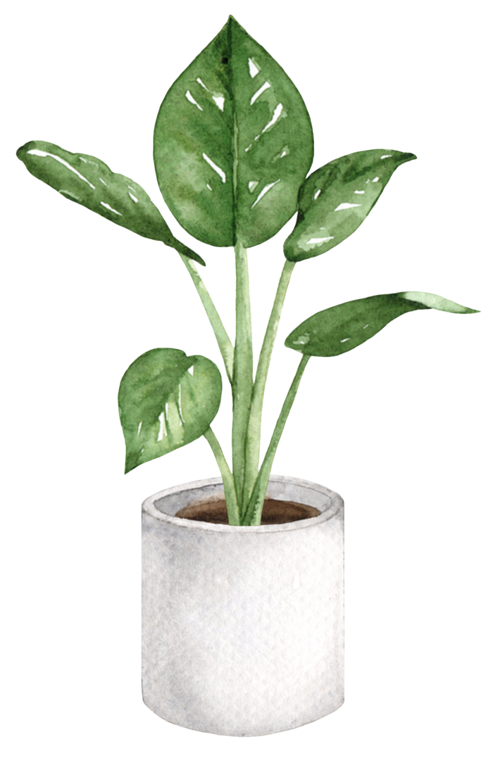 盆栽花草植物免扣植物水彩插画设计素材