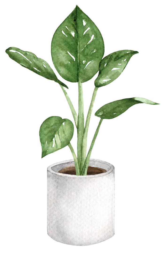 盆栽花草植物免扣植物水彩插画设计素材