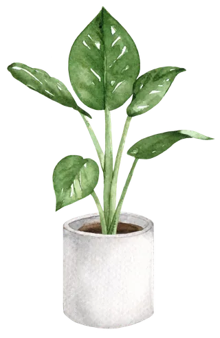 盆栽花草植物免扣植物水彩插画设计素材