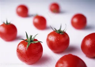 唯美食物素食西红柿