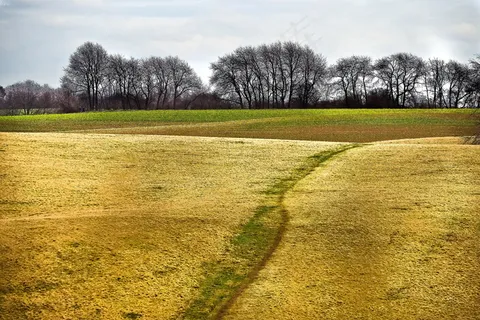 乡村风景画图片