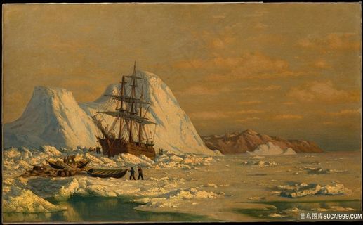 威廉·布拉德福德- 捕鲸事件