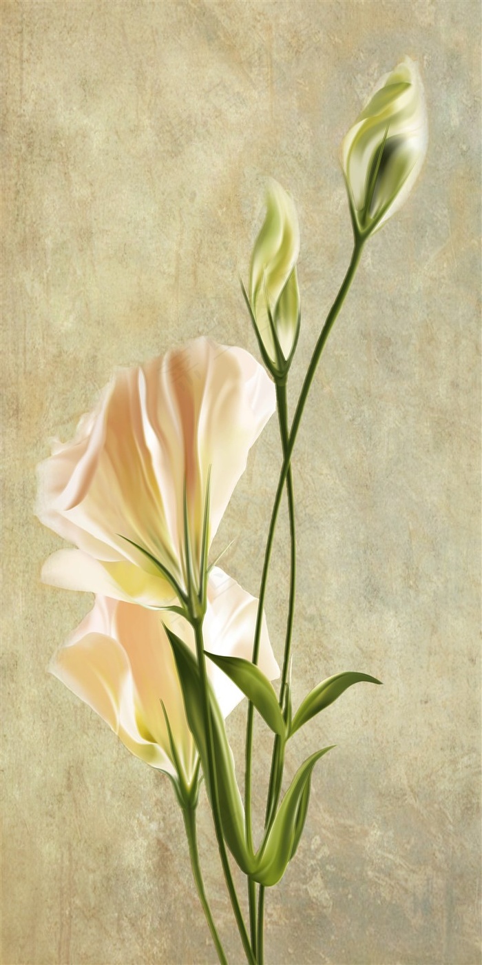 百合花玄关画