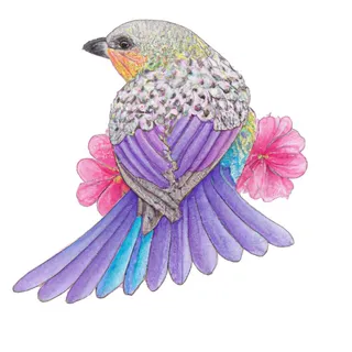 鸟与花彩色手绘  装饰画 插图 图案 鸟与花彩色手绘  装饰画 插图 图案