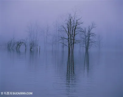 湖畔美景风景画 湖畔美景风景画