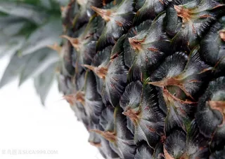 菠萝顶部高清特写