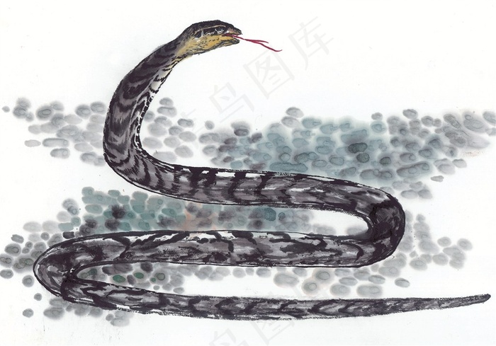 鼠牛虎兔龙蛇马羊猴鸡狗猪大图jpg素材