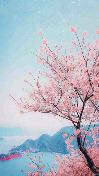 春天山河边蓝天粉色樱花花朵，惊蛰立春