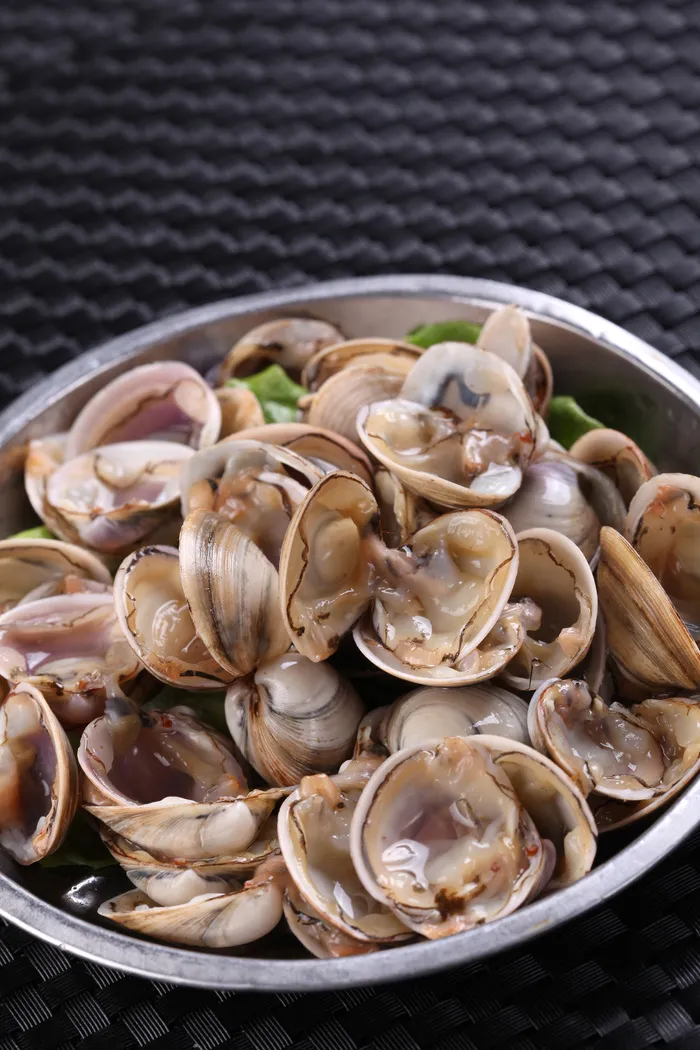 鲜贝壳 (2)