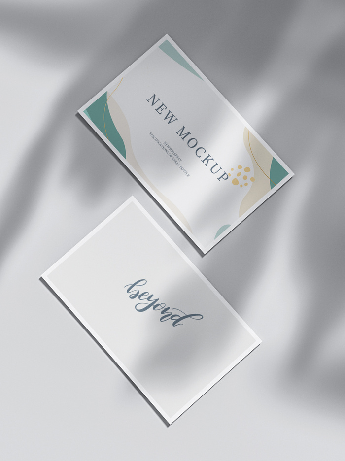 高端大气商务名片样机