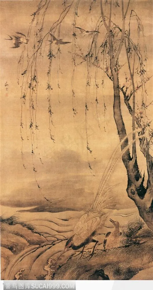 花鸟篇-垂柳与鸟