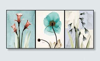 三联水彩花卉装饰画