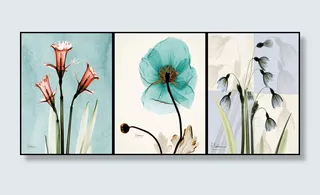 三联水彩花卉装饰画