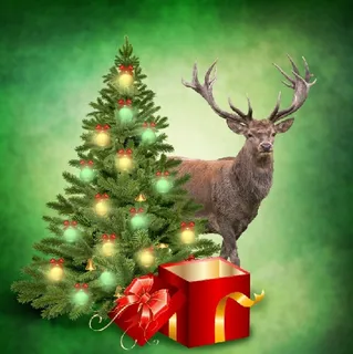 圣诞节冬天风景背景