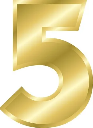 5 号 PNG免抠