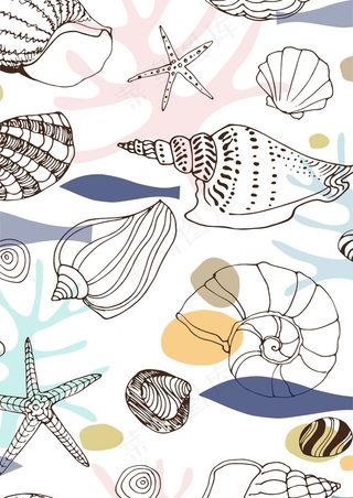 海洋壳类生物 贝壳还行