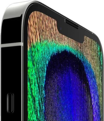 iPhone 14 PNG免抠(599x693)