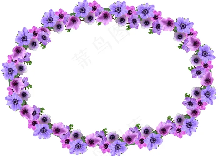 银莲花花环图片