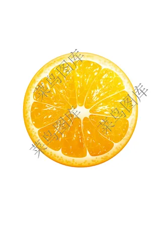 橘子片素描图