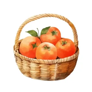 一篮柿子水果插画免抠