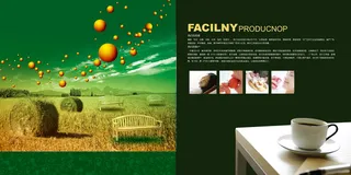 房地产家园主题宣传海报-8