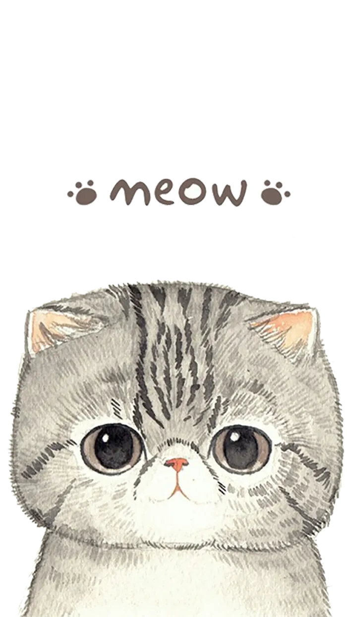 猫咪卡通动物