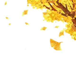 你好九月秋天落叶银杏叶素材