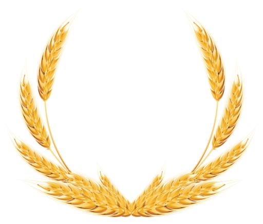 小麦免抠(600x511)