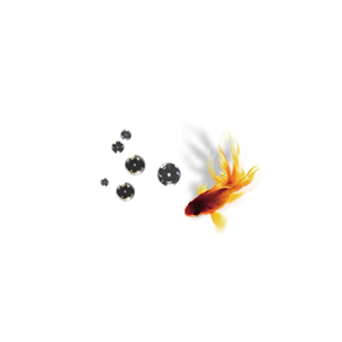 中国古风元素金鱼