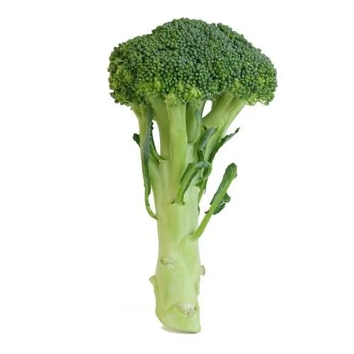 西兰花 PNG免抠(500x500)