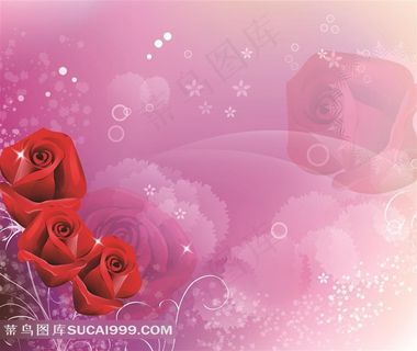 装饰画背景画无框画玫瑰花