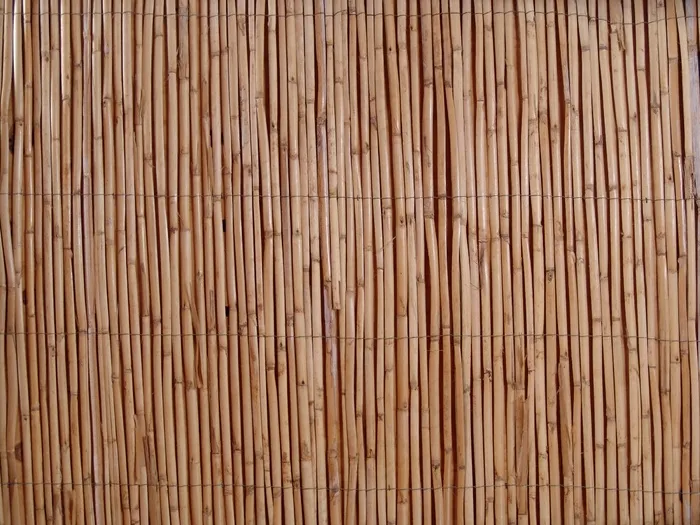各式背景 1594
