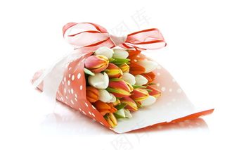 郁金香鲜花摄影素材