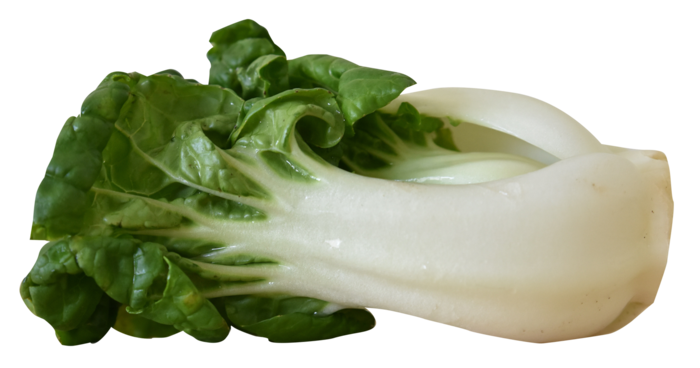 乌心菜蔬菜