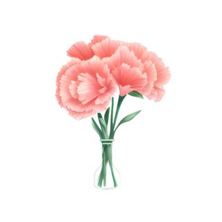 母亲节康乃馨花免抠