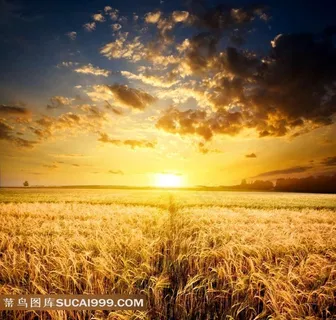 田园晚霞风景图片