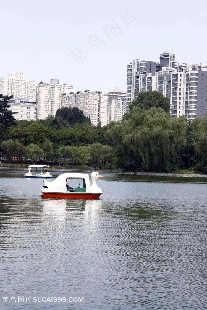 美丽的兴庆宫美景素材