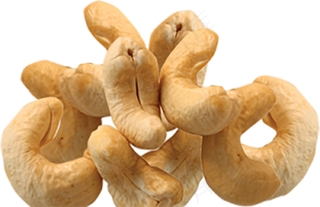 腰果免抠素材 (17)