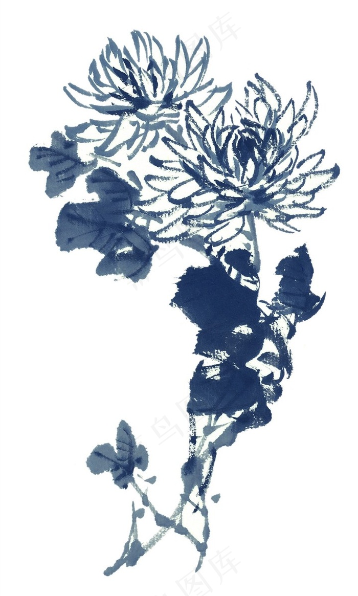 清净的水墨菊花素材图片