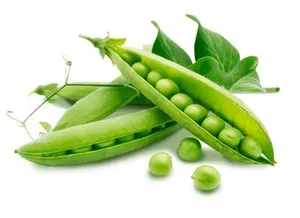 豌豆免抠
