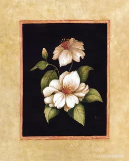 唯美花卉时尚插画油画 唯美花卉时尚插画油画