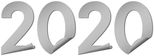 2020年PNG免抠(600x220)