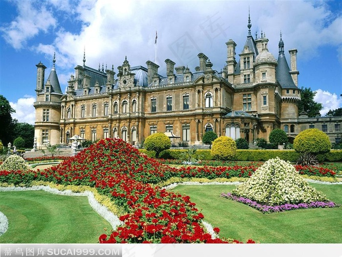 红花绿草下的建筑