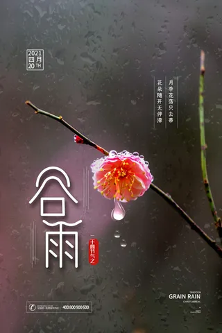 谷雨二十四节气海报设计