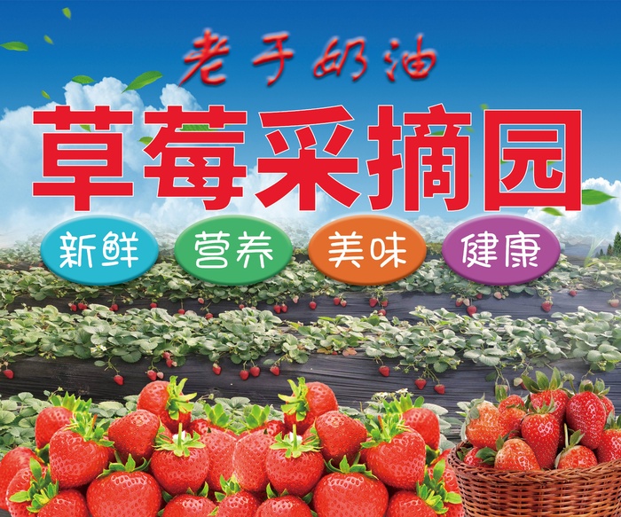 草莓采摘海报宣传图线下