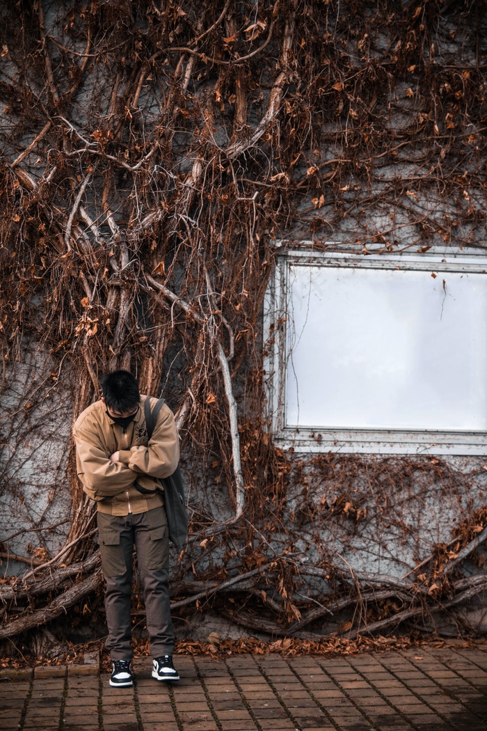 古老树藤和戴口罩帅哥图片