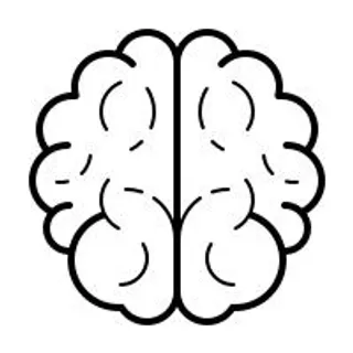 大脑 PNG免抠